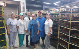 С визитом в «Гридневъ»: представители НИИХП посетили хлебную мануфактуру в Ростове-на-Дону