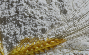 Мониторинг показателей качества пшеничной и ржаной муки