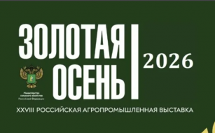 Золотая осень об актуальном: продовольственная безопасность