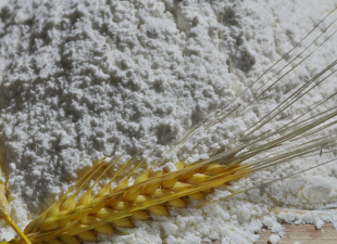 Мониторинг показателей качества пшеничной и ржаной муки